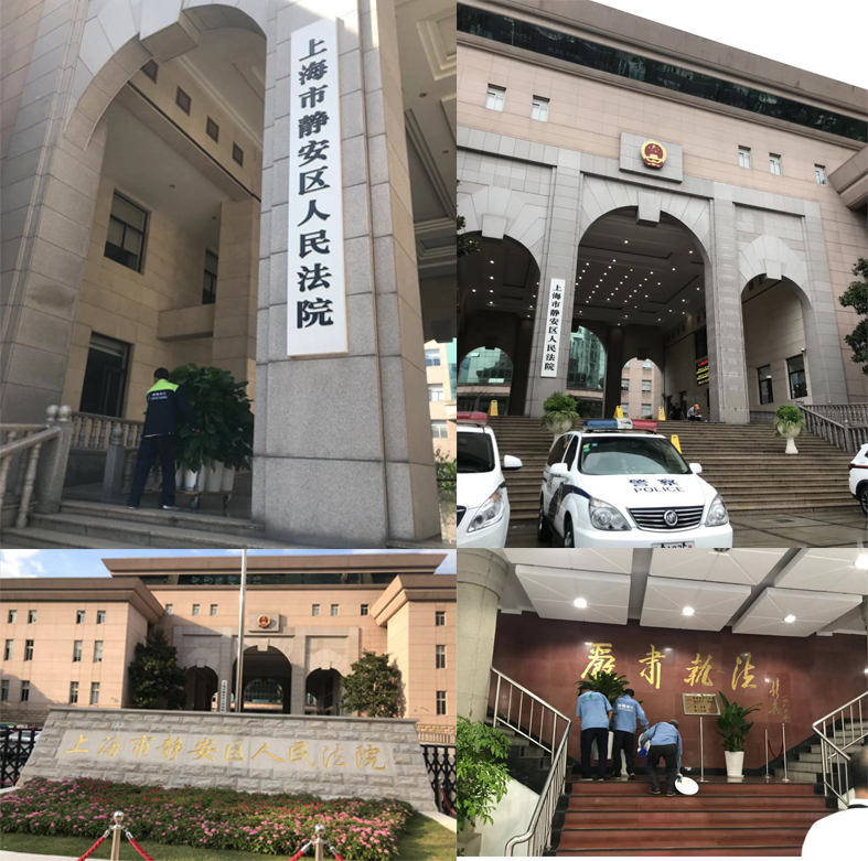 静安法院院区室内外绿化项目-上海雅腾绿化有限公司