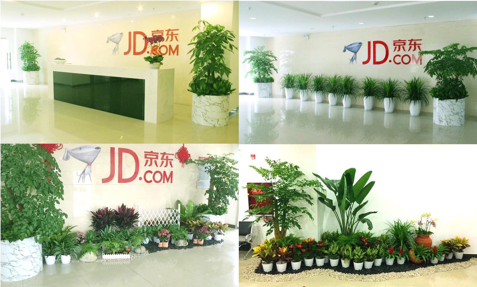 京东集团室内植物租赁项目-上海雅腾绿化有限公司